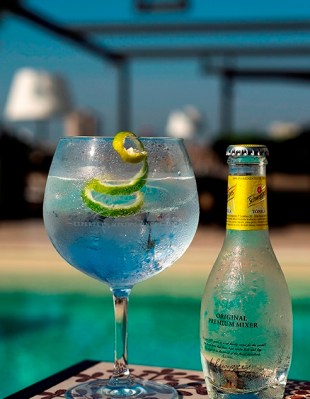 Gin tonic_2