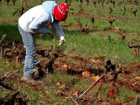 1329137191_podaAN_DSCF0882(800x600)