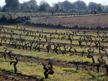 1329137419_podaAN_DSCF0872 (800x600)