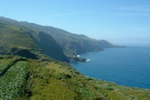 La Palma viñedos costa Norte