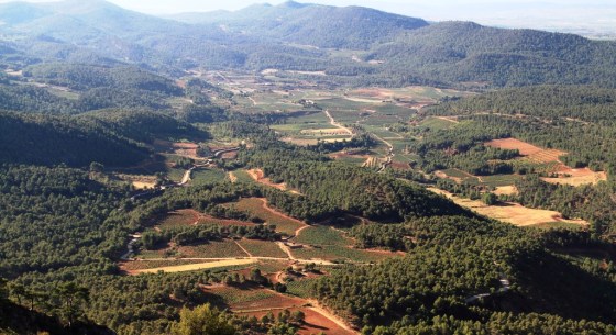 Utiel-Requena paisaje_E