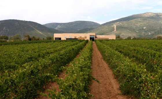 Viñedo y bodega Pago Vallegarcía / PV