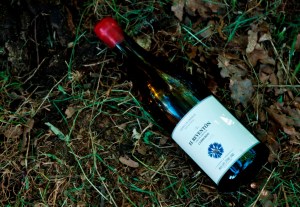 El tinto de Daniel G. Jiménez Landi en Cebreros / VV