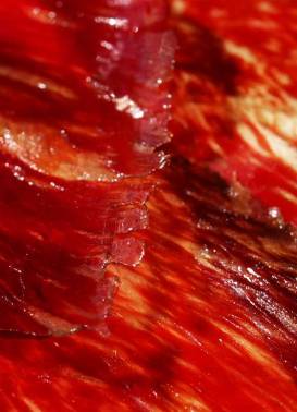 cecina_E