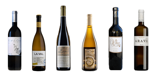 Las botellas ganadoras de la V Cata de Añadas de Rías Baixas