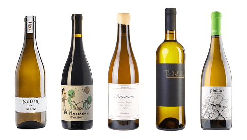 Mosaico desamparados