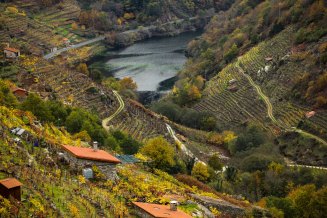 Ribeira Sacra_DORS