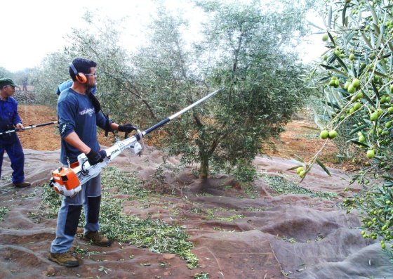 04 Proceso de vareado