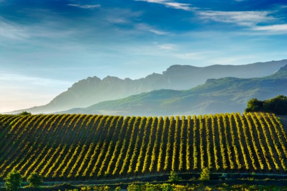 Sierra Cantabria_075_E