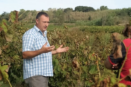 Ton Rimbau, en su viña Els Prats Vella. / TON RIMBAU